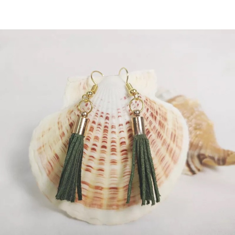 Fashion leather tassel earrings brand new